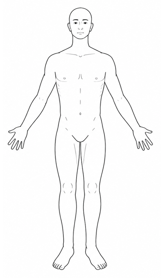Male body, front view